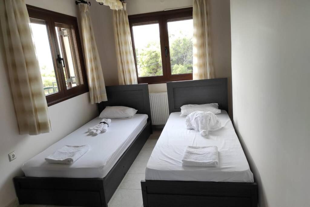 Artemis Penthouse 10 Minute From National Airport Villa ภายนอก รูปภาพ
