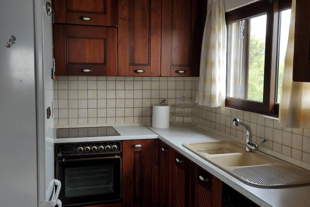 Artemis Penthouse 10 Minute From National Airport Villa ภายนอก รูปภาพ